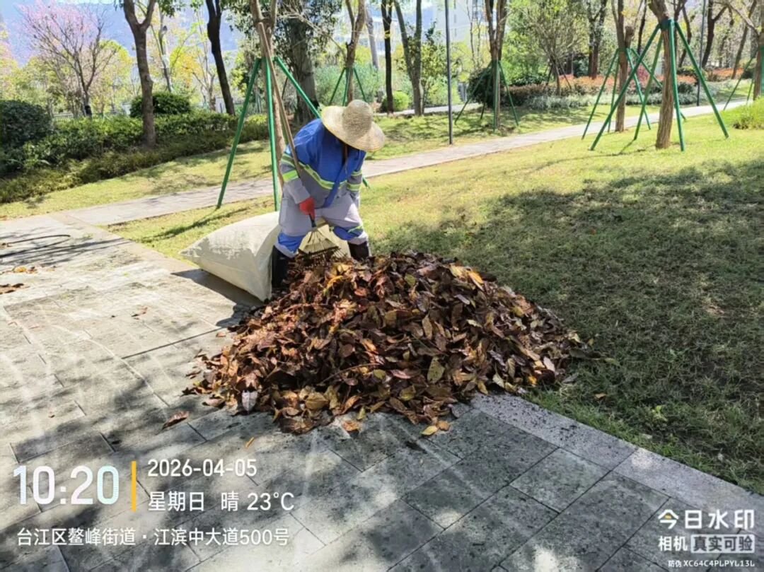 微信图片_2026-04-13_145906_948.jpg